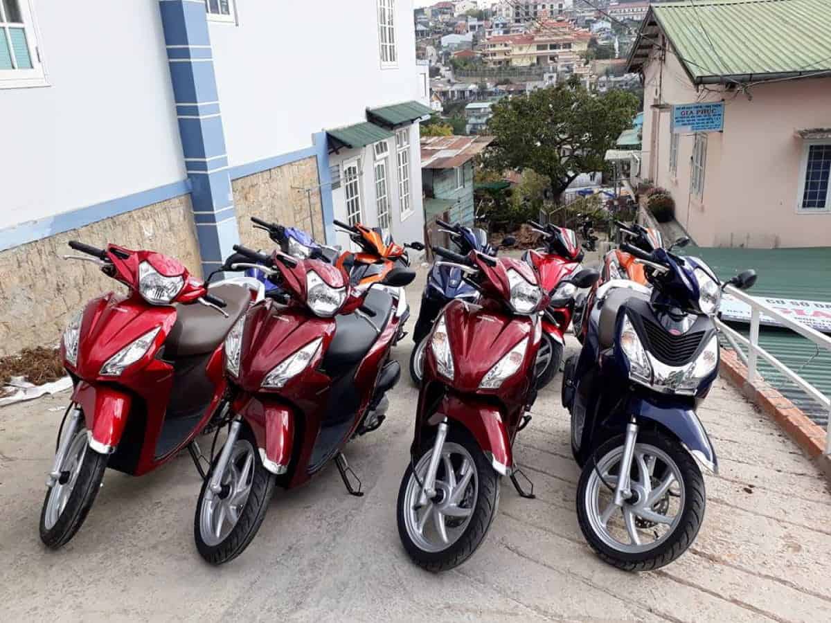 Motorvina cung cấp đa dạng các loại xe máy cho thuê